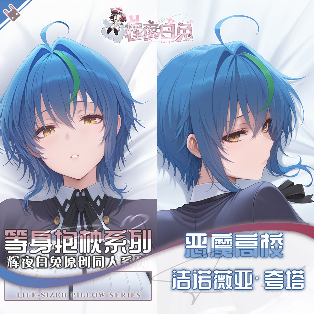 Body Pillow Cover - Dakimakura Pillowcase Anime High School DxD